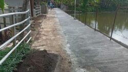 Diduga Tidak Sesuai RAB, Pembangunan Rabat Beton di Desa Kertamukti Ciawi Dipertanyakan