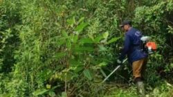 Pemdes Sindangasih Bersama Warga Gelar Kerja Bakti Bersihkan Lapangan Cikuya
