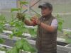 Desa Tanjungmekar Jamanis Realisasikan Program Ketahanan Pangan Lewat Kebun Melon Hidroponik