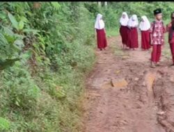 Viral Perjuangan Siswa SD Ciranca Lewati Jalan Rusak di Cipatujah, Warga Tagih Janji Perbaikan