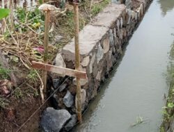 Proyek P3TGAI Gajah Ngambungsari Desa Ratawangi Banjaranyar Diduga Dikerjakan Asal Jadi Tanpa Pengawasan