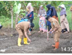 Perkuat Ketahanan Pangan, Wali Kota Bersama Forkopimda Tanam Benih Jagung  Bersama