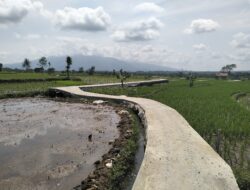 Pengembangan Infrastruktur Jalan Usaha Tani (JUT) Untuk Mendukung Produksi Pertanian.