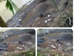 Baru Beberapa Bulan Selesai, Bronjong Proyek 2025 BBWS Citanduy di Pamarican  Ambruk