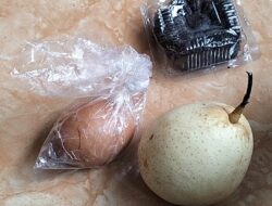 Kualitas Menu Dipertanyakan, Anggaran Disorot, FORWAPI Minta Aparat Turun Tangan Audit Total Program MBG