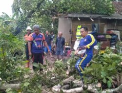Angin Puting Beliung Terjang Pamarican Ciamis, Sejumlah Rumah Warga Rusak dan Pohon Tumbang