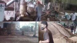 Diduga Beroperasi Tanpa Izin, Pabrik Wood Pallet Misterius di Cimaragas Bebas Produksi, Warga Keluhkan Debu dan Kebisingan