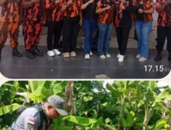 PERINGATI HARI LAHIR  PANCASILA, MPC PP KOTA BANJAR GELAR PENANAMAN 1.000 POHON