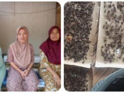 PERUSAHAAN AYAM DIDUGA CEMARI LINGKUNGAN, WARGA KP. CIDOLOG TAMANSARI KELUHKAN TIDAK ADA SOSIALISASI