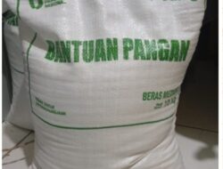 Bantuan Beras dari Pemerintah yang Disalurkan melalui BULOG dan Kelurahan Beraroma Bau Tak Sedap