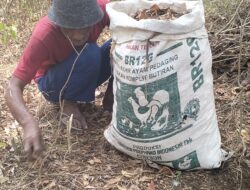 Keringat dan Harapan: Kisah Perjuangan Orang Tua Demi Masa Depan Sang Buah Hati